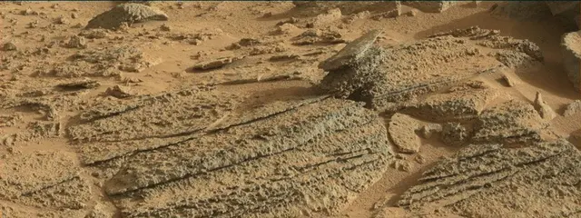 Sol 318: Mast Camera (Mastcam)