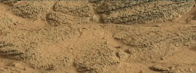 Sol 318: Mast Camera (Mastcam)