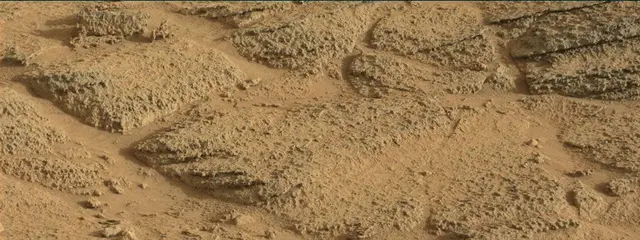 Sol 318: Mast Camera (Mastcam)