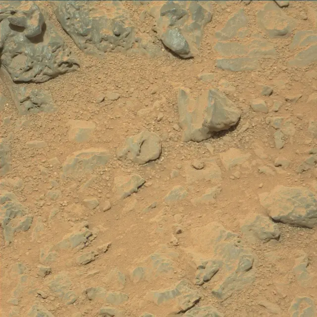 Sol 318: Mast Camera (Mastcam)