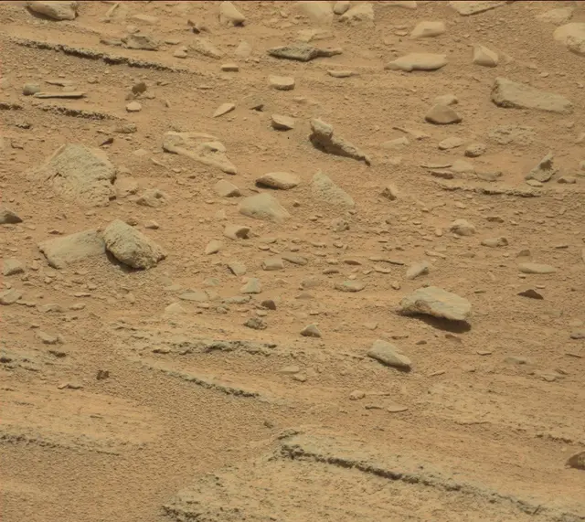 Sol 318: Mast Camera (Mastcam)