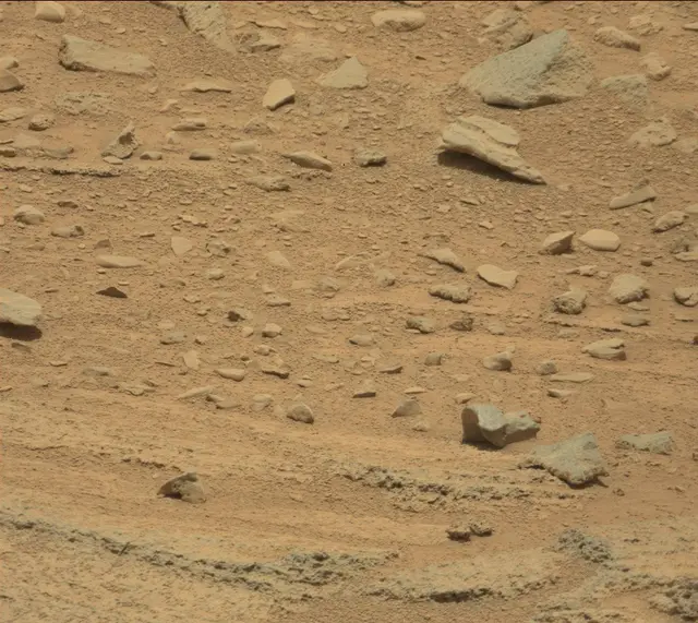 Sol 318: Mast Camera (Mastcam)