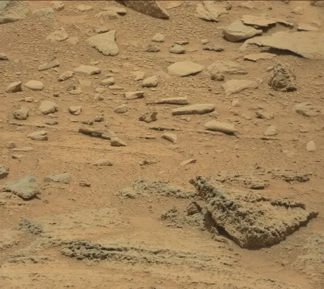 Sol 318: Mast Camera (Mastcam)