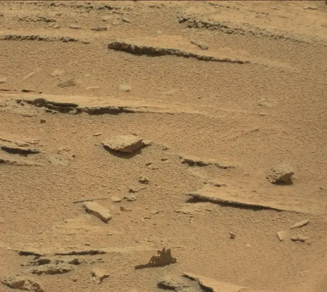 Sol 318: Mast Camera (Mastcam)