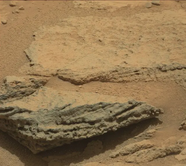 Sol 318: Mast Camera (Mastcam)