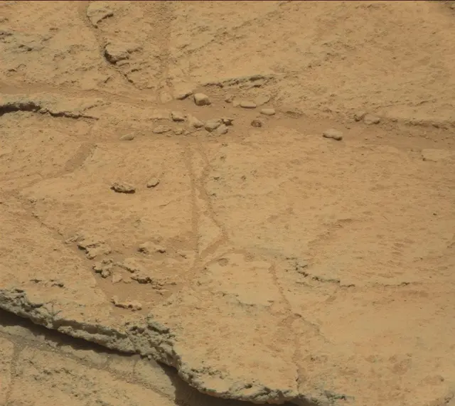 Sol 318: Mast Camera (Mastcam)