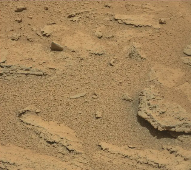 Sol 318: Mast Camera (Mastcam)