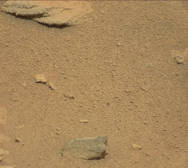 Sol 318: Mast Camera (Mastcam)