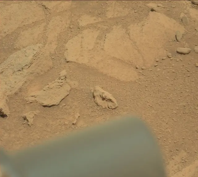 Sol 318: Mast Camera (Mastcam)