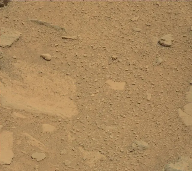 Sol 318: Mast Camera (Mastcam)