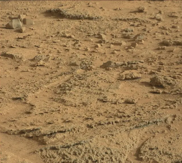 Sol 318: Mast Camera (Mastcam)