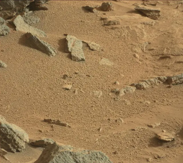 Sol 318: Mast Camera (Mastcam)