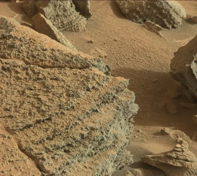 Sol 318: Mast Camera (Mastcam)