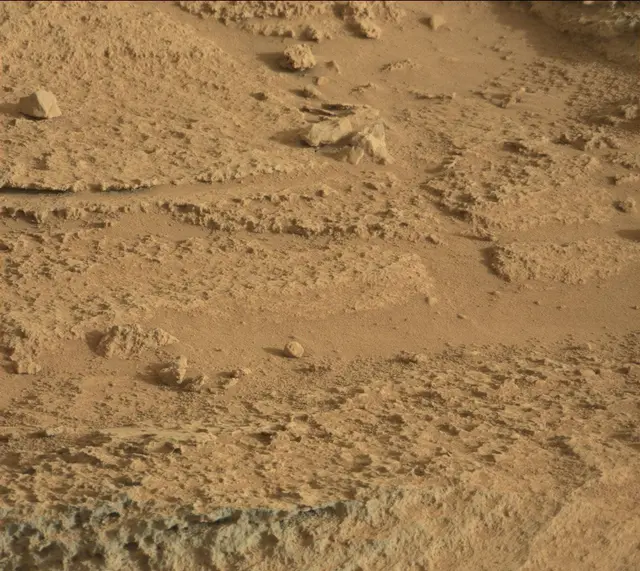 Sol 318: Mast Camera (Mastcam)