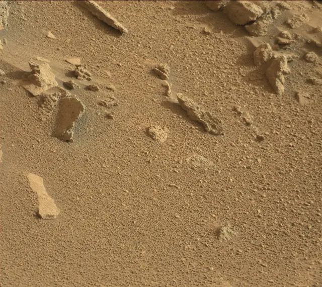 Sol 318: Mast Camera (Mastcam)