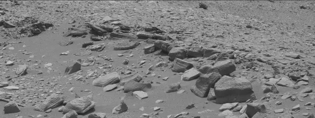 Sol 319: Mast Camera (Mastcam)