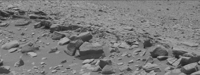 Sol 319: Mast Camera (Mastcam)