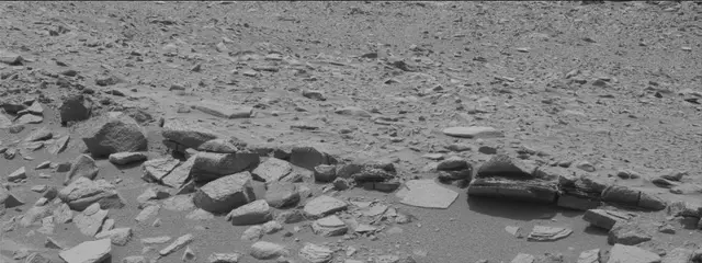 Sol 319: Mast Camera (Mastcam)