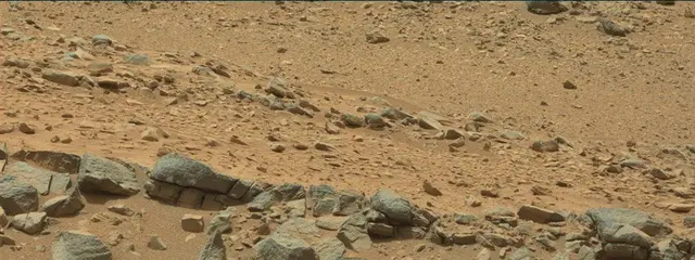 Sol 319: Mast Camera (Mastcam)