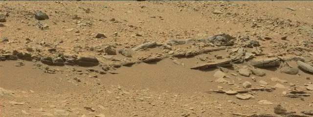 Sol 319: Mast Camera (Mastcam)