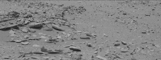 Sol 319: Mast Camera (Mastcam)