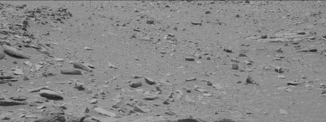 Sol 319: Mast Camera (Mastcam)