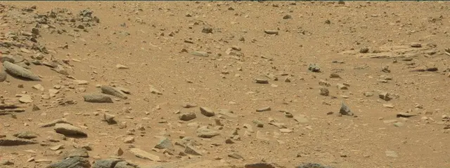 Sol 319: Mast Camera (Mastcam)