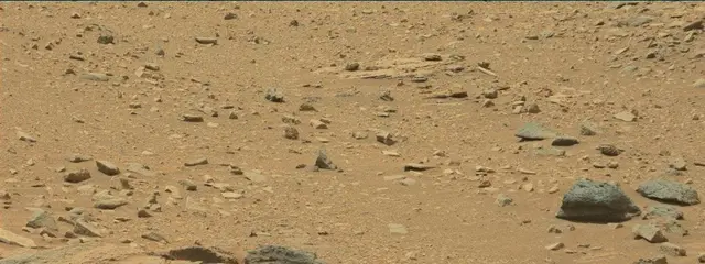 Sol 319: Mast Camera (Mastcam)