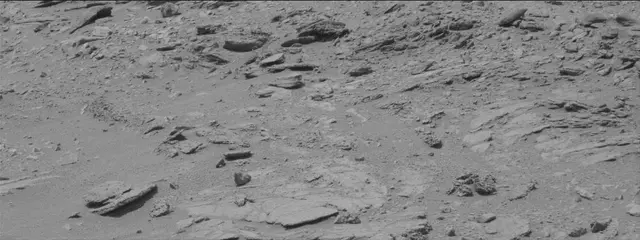 Sol 319: Mast Camera (Mastcam)