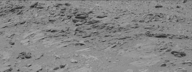 Sol 319: Mast Camera (Mastcam)