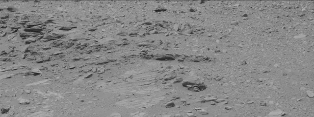 Sol 319: Mast Camera (Mastcam)