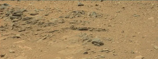 Sol 319: Mast Camera (Mastcam)