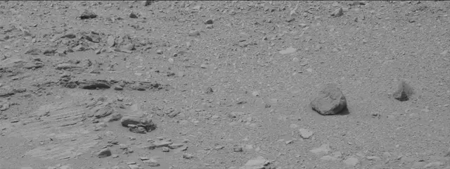 Sol 319: Mast Camera (Mastcam)