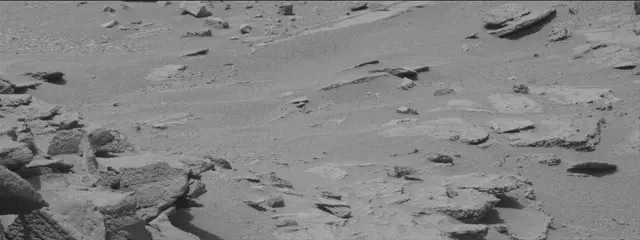 Sol 319: Mast Camera (Mastcam)