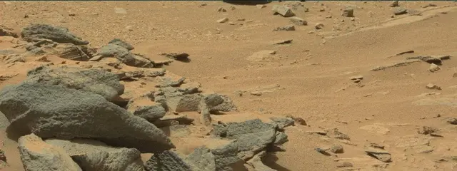 Sol 319: Mast Camera (Mastcam)