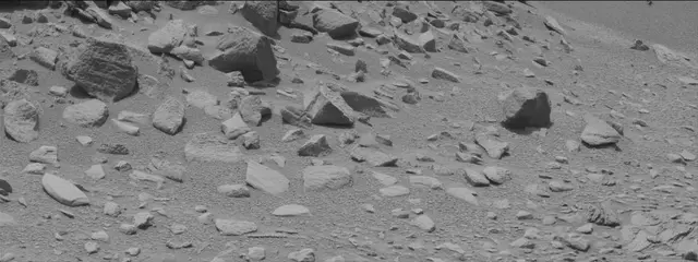 Sol 319: Mast Camera (Mastcam)