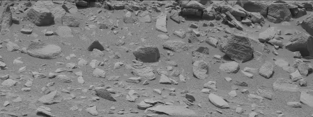 Sol 319: Mast Camera (Mastcam)