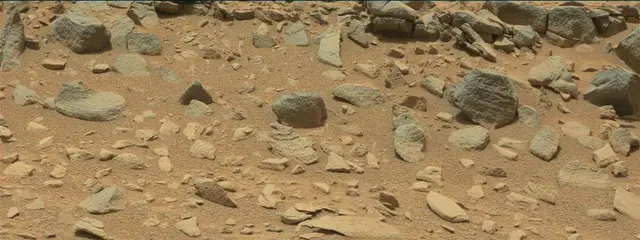 Sol 319: Mast Camera (Mastcam)