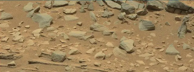 Sol 319: Mast Camera (Mastcam)