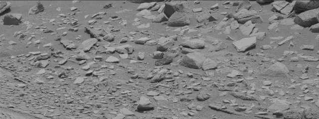Sol 319: Mast Camera (Mastcam)