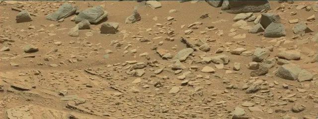 Sol 319: Mast Camera (Mastcam)