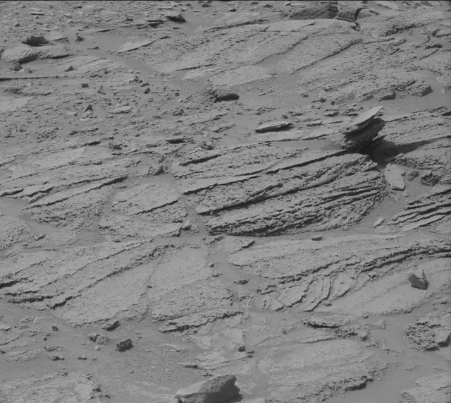 Sol 319: Mast Camera (Mastcam)