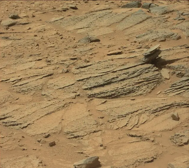 Sol 319: Mast Camera (Mastcam)