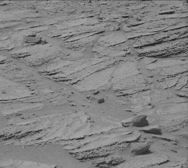 Sol 319: Mast Camera (Mastcam)