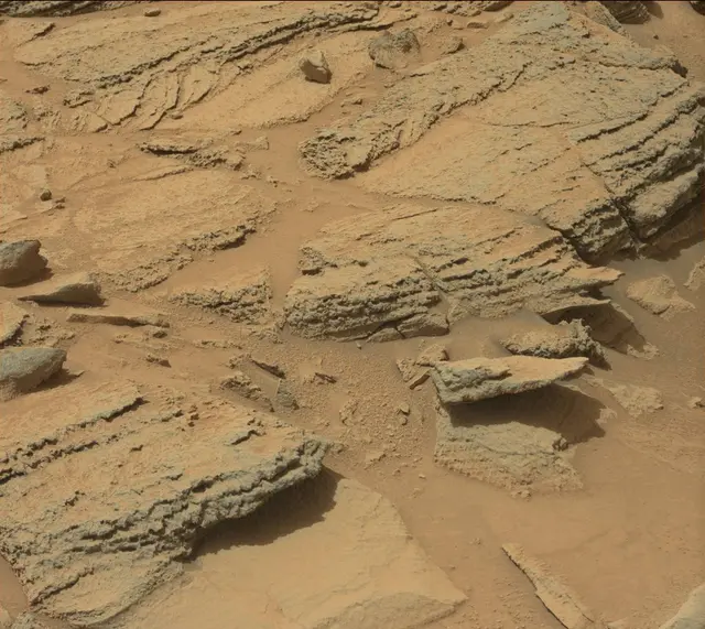 Sol 319: Mast Camera (Mastcam)