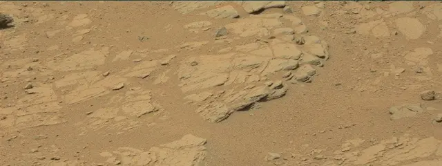 Sol 319: Mast Camera (Mastcam)