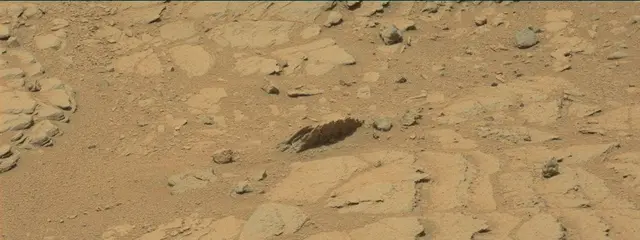 Sol 319: Mast Camera (Mastcam)