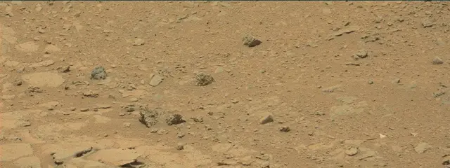 Sol 319: Mast Camera (Mastcam)