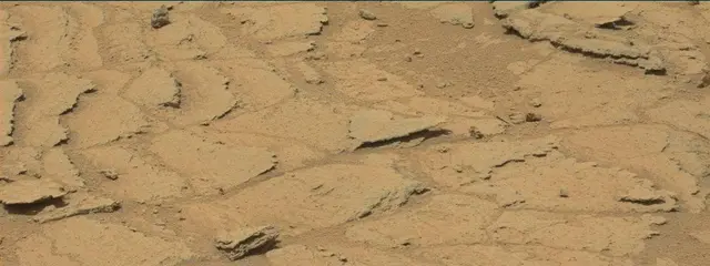 Sol 319: Mast Camera (Mastcam)