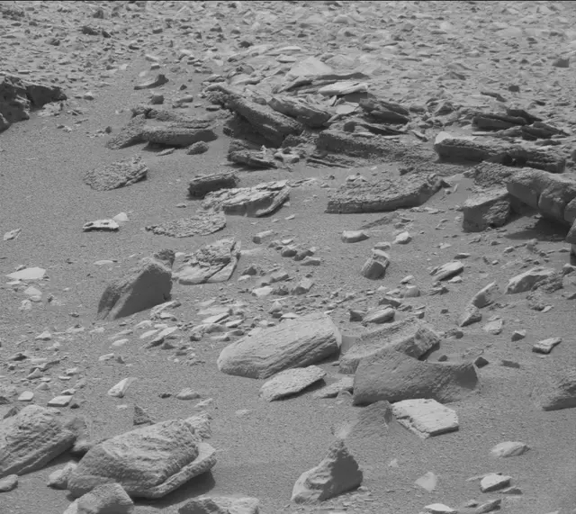 Sol 319: Mast Camera (Mastcam)